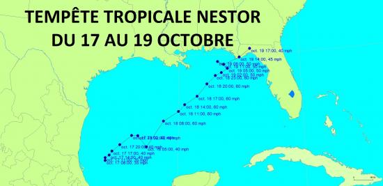 TS NESTOR 2019